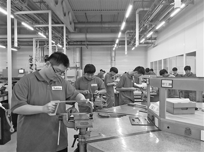 破壁融通 城市群职教一体化与教育培训学校的革新之路